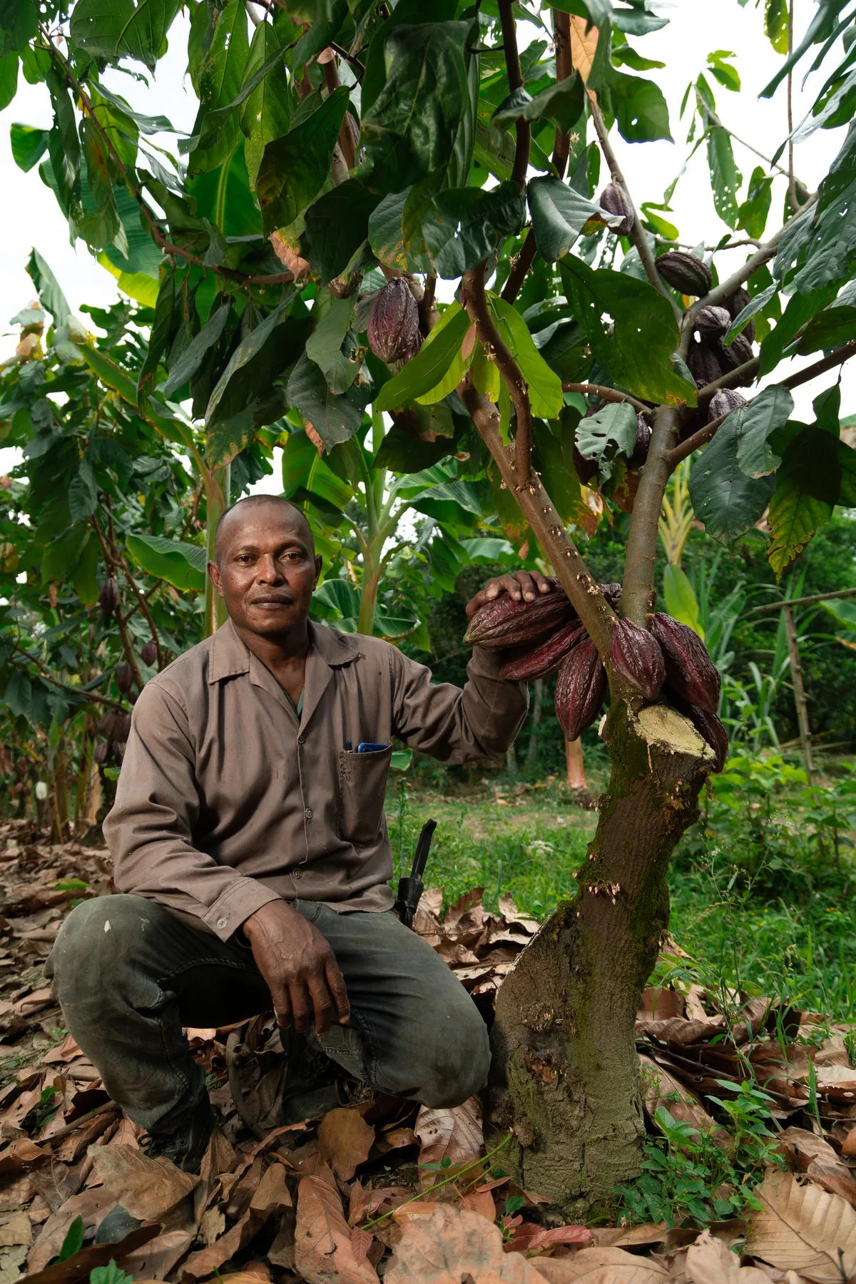 Fundación Cacao Hunters — Cauca