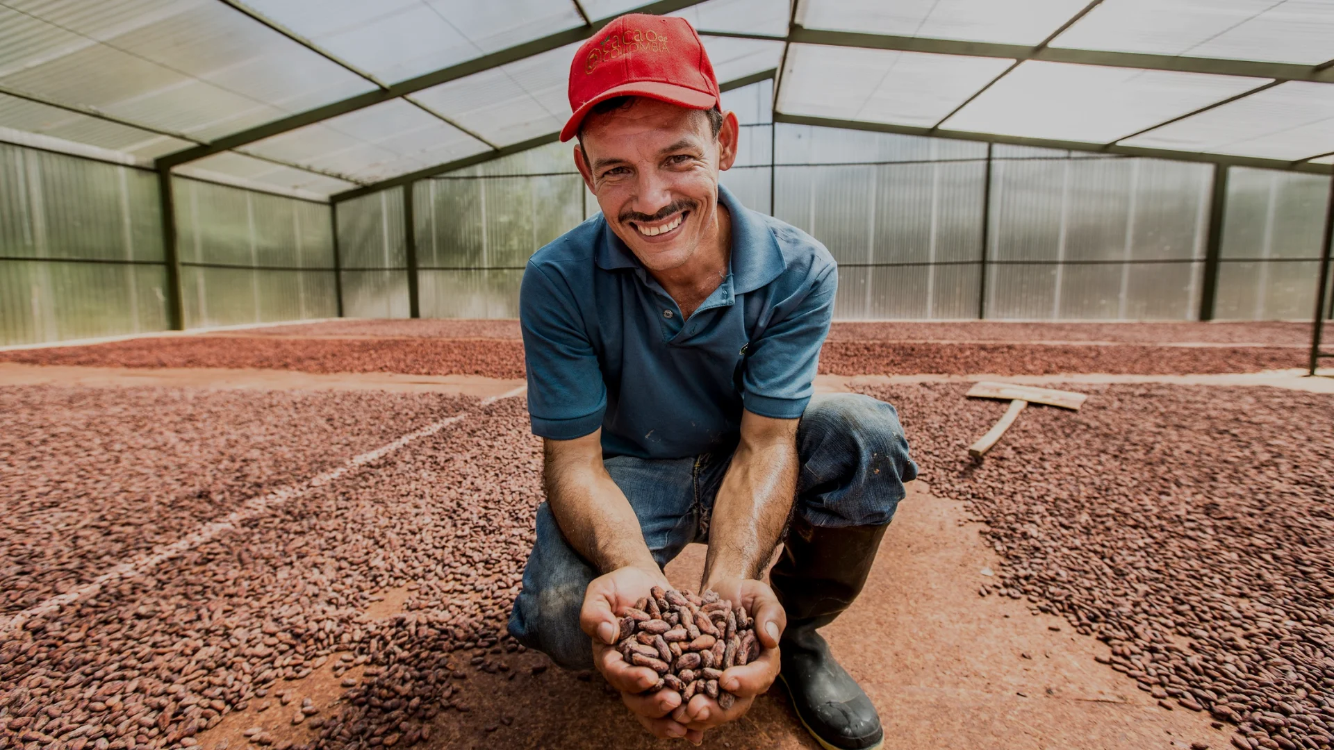 Productor de cacao en secadero solar, ofreciendo granos secos